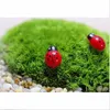 Tuin DIY Decor Lieveheersbeestje Decoraties Realistisch Mini Panel Tuin Fairy Craft Micro Landschap Houten Simulatie Kever