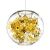 Tangle Globe Led Pendelleuchte Glanz Glas Aquarium Stahl Blume Kronleuchter Innen Hängelampe Lampara Leuchten