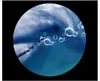 Özel Herhangi Boyutu Duvar Kağıdı Sualtı Yunuslar Oynarken Kabarcıklar ile Oynarken Mercan Balık Oturma Odası Yatak Odası PVC Su Geçirmez Giyim 3D Zemin Fayans Sticker