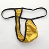 Mens G-String Pouch Low Rise String Posing Thong Contoured Pouch Thong Back Shiny Satin Knit G2029 Glanzend ondergoed