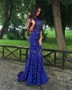 Royal Blue Lace Evening Gowns Sparkly Crystals Open Back Sleeveless Mermaid See Through New Women Pageant Long Prom Dresses DH4118