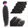 Brazylijska Prosta Dziewiczy Ludzki Wiązki Włosów Peruwiański Wave Głębokie Kinky Curly Remy Hair Extensions Mokre i faliste Ludzkie Włosy