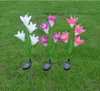 Outdoor Solar Garden Stake Lights-2 Pack Solar Powered Lights With 8 Lily Flower.multi-Color Changing LED, Patio Stake Lights för trädgård