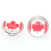 Flag Resin Cabochon Kameleon Jewelpops Jewelpops Fits DIY Insert Charm Bracelets Necklace Ring 925 Silver Plated Jewelpops39218245699906