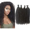 Tight Curly Human Hair Bulk 4a 4b Burmese Hair Afro Kinky Hair Bulk No Weft for Black Women FDshine