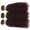 Bästa Peruanska Virgin Burgundy Human Hair Bundles Kinky Curly Hair Weave Extensions Pure 99J Vin Röd Virgin Human Hair Weaving Curly 3pcs