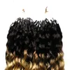 T1B / 613 Blond Kinky Curly Micro Loop Extensions de cheveux humains 200S Ombre Micro Loop Bague Extensions de cheveux 200g Curly Micro Perle Extensions de cheveux