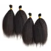 Cheveux malaisiens en vrac pour 4 paquets de cheveux humains indiens crépus raides cheveux en vrac couleur naturelle expédition rapide FDSHINE