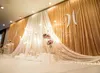 3*6m Wedding Party Stage Celebration Background Satin Curtain Drape Pillar Ceiling Backdrop Marriage decoration Veil WT079