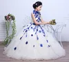 4 färg röd svart blå vintage hög nacke blommor bröllopsklänning 2018 ny koreansk stil prinsessa billig spetsboll vestidos de novia