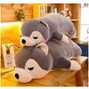 Dorimyrader Nova Peluches Animal Macio Brinquedo de Pelúcia Husky Big Stuffed Dos Desenhos Animados Cão Deitado Boneca Anime Travesseiro Decoração de Presente 31 polegadas 80 cm DY50157