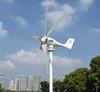 Home Wind Turbine 600W 12V 24V 5 BLADES Liten horisontell permanentmagnetgenerator med MPPT Boost Controller