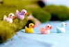 50ピース/ロットかわいいアヒルミニチュアPVCアクションフィギュア動物の置物マイクロランドスケープミニ置物ドールハウスフェアリーガーデン装飾