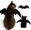 5 sztuk Śmieszne Koty Cosplay Costume Halloween Pet Bat Wings Cat Bat Costume Fit Party Psy Koty Play Pet Akcesoria Najwyższej jakości