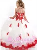 Bola Jewtoddler Jewel White Tulle e Red Lace Applique com cristal Beadings Pageant Vestidos para meninas flor meninas