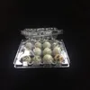 12 hål Quail äggbehållare Klar ägglådor Plastpaket Boxhållare
