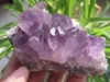 100-150g Färgrik Aura Titanium Crystal Cluster Electroplating Vug Specimens Reiki Quartz Wand Point Natural Druzy Amethyst Healing Minerals