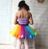 Bebê Roupa Da Menina Da Criança Rainbow Tutu Saia Crianças Saia de Tule Crianças Meninas Dança Pettiskirt Bonito Dancewear Princesa Ballet Saia 1-9Y