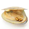 Natural Freshwater Pearl Oyster, Pearl Color is helder en kleurrijk kan worden gebruikt voor verschillende kunstwerken, vacuümverpakkingspot groothandel