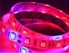 Plant Grow Lights LED Strip Full Spectrum Flower Phyto Lamp 5m Waterproof IP65 Red Blue 5:1 4:1 for Greenhouse Hydroponic + Power adapter