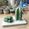 Petite taille plantes succulentes Fondant gâteau Silicone moule Cactus bricolage arôme gypse plâtre Silicone moule bougie moules