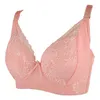 Hoge kwaliteit vrouwen plus size bh's beugel groot formaat bras d cup sexy beha dames beha 34 36 38 40 42 44d 7 kleuren