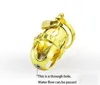 Gold Kinger Hot Male Chastity Device Rostfritt stål Bird Beads Chastity Cage #R47
