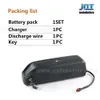 Kostenloser versand elektrische riesen fahrrad batterie 48v 17Ah mit 5V1A USB Hailong 18650 batterie für 750W/1000W motor + BMS + Charger2A