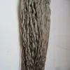 Verworrene lockige Remy Micro Loop-Haarverlängerungen, graue Farbe, lockige Mikroperlen-Haarverlängerungen, 100 g, 100s brasilianisches Humanhaar, Micro Boucle