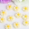 100pcs/ lot 20mm mix color chrysanthemum mixed color flat resin resin cabochon scrapbook rose flow fit phone diy beads for Jewelry