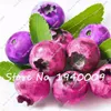 100 pcs blueberry seeds 2 colours blue red bonsai blueberry tree fruit & vegetable seeds Non-GMO potted plant for home & garden