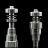 Univerale 6 in 1 Titanium Chiodo 10/14 / 19mm Set di unghie in titanio di Taitanio di Dôly Femmina e maschio per il fumo