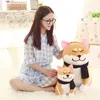 25 centimetri carino indossare sciarpa Shiba Inu cane peluche morbido animale farcito Akita cani bambola per gli amanti bambini regali di compleanno LA0357380272