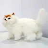 Dorimytrader realista animal de peluche gato de peluche de juguete animales realistas gatos domésticos juguete decoración regalo 35 x 20 cm DY80020