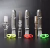 Smoking Accessories Mini Nectar Collector Glass Pipes with 10mm 14mm 18mm Titanium Quartz Tip Oil Rig Concentrate Dab Straw for Glass Bong