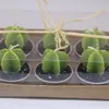 Cactus Geurkaars Groene Vlees Plant Home Interieur Scent Candles Romantisch Groen Kaars Theelicht Kaarsen Mini Mooie Gift Wen5477