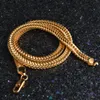 Lujo 6 MM 18 K chapado en oro serpiente cuerda cadenas collar brazalete pulseras para mujeres hombres joyería de moda conjunto accesorios regalo Hip Hop330G