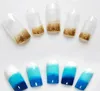Nail Art Makeup Styling Tools Manicure Sponge Nail Art Stamper Tools med 5st Nail Svamp för Gradient Färg Hög kvalitet