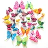 3D Cinderella Double Layers Wings Butterfly Decoration 12pcs/lot PVC Removable Wall Stickers Decal Mural Appliances