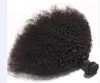 Afro Crépus Bouclés Cheveux 3 Faisceaux avec Afro Crépus Fermeture Moyen 3 Partie Double Trame Extensions de Cheveux Humains Teintable Cheveux Humains We1652101