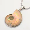 Ammonite Fossils Necklace Silver Ammonite Swirl Necklace Snail Amonite Jewelry Fossils Jewelry Bohemian8977572