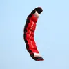 Двойная линейная парашютная кайт с двумя 30 -метровыми ручками для хранения парафальки воздушный змей открытый пляжный развлекательный змей высокий качество высокое качество