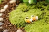 Moss Micro paesaggio Ornamento in miniatura Ape per piante per piante per piante per piante per pianta bottiglia Proteggi ecologici Puntelli ecologici Materiali fai -da -te FA8440815