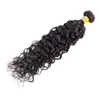 8A Peruvian Human Hair Water Wave Bundles With 4X4 Lace Closure Hair Extensions Whole Leila Natural Color Black 828inch1921806