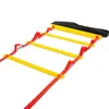 12 Rung 6M Football Training Speed Agility Ladder Black Straps Training Ladders Step Soccer Accessories 2 Colors