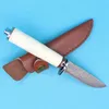 Topkwaliteit Damascus Collectie Hunting Mes Damascus-stalen Blade Bone Handvat Outdoor Camping Wandelen Survival Rechte Messen