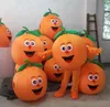 2018 Fruit mascotte kostuum Apple pompoen citroen watermeloen cartoon kostuum volwassen kinderen maat party fancy dress3428491