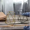 Flower Pots Nordic Geometric Wrought Iron Simple Succulent Frame Herb Cactus Flower Pot Ceramic Pot Green Planter for home decor5966088