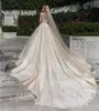 Vintage Lace Ball Gown Wedding Dresses Beaded Sheer Plus Size Appliqued Bridal Gowns Buttons Back Sweep Train Wedding Dress