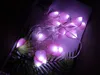 3 m 20 LED Peach Tree Heart Strings Wedding Christmas Party Festival Decoration Colored Lights Girl Heart